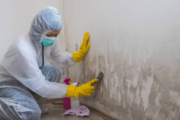 Best Air Quality Testing for Mold Spores  in Swepsonville, NC