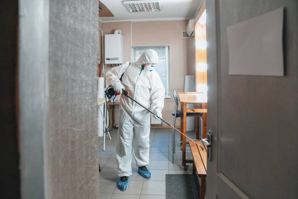 Best Comprehensive Air Testing for Mold Contaminants  in Swepsonville, NC