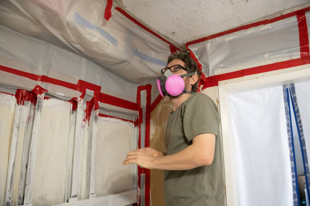 Mold Remediation for Vacation Homes in Swepsonville, NC