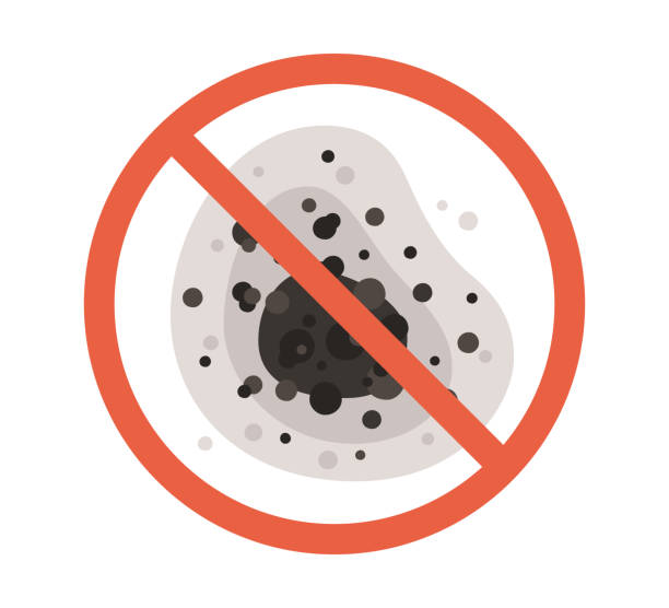 Best Mold Removal for HVAC Installations  in Swepsonville, NC