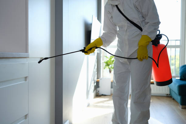 Best Water Damage & Mold Remediation  in Swepsonville, NC