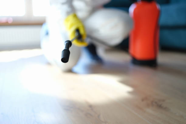 Reliable Swepsonville, NC Mold Removal Solutions