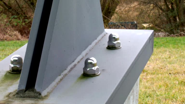 Best Forensic Mold Investigation  in Swepsonville, NC